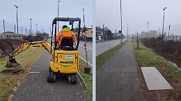 Dona 17 querce al Comune e chiede l'anonimato