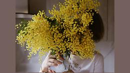 Cremona celebra l&rsquo;8 marzo con numerose iniziative a sostegno delle donne