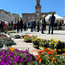 Listone in fiore: piante, orti e affini nel centro della citt&agrave;