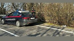 Bosco della droga: &laquo;Tagliarlo, la soluzione&raquo;