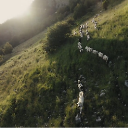 Anna Kauber presenta il suo ultimo docufilm: "Civilt&agrave; transumanti"