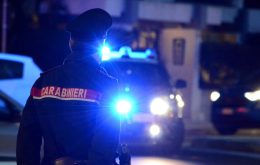 Animali in fuga: muore un cavallo