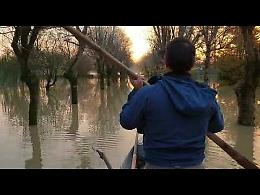 VIDEO La piena del Grande Fiume: in barca al Parco al Po