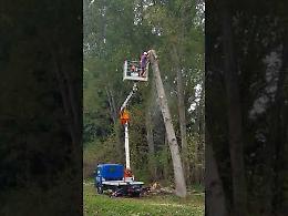 VIDEO Il taglio degli alberi pericolanti in via Passirano a Cavatigozzi