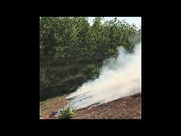VIDEO Incendio doloso lungo la sponda sud dell'argine di Gussola