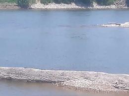 VIDEO Il fiume Po in sofferenza per la secca