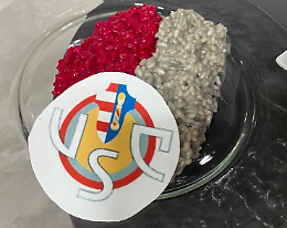 Cremonese, risotto grigiorosso per la promozione in Serie A