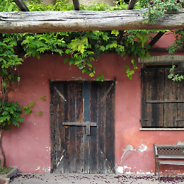 Visite guidate a 7 agriturismi aperti per te in Lombardia