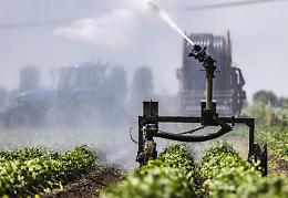 La Commissione chiede meno controlli per piante modificate per ottenere "mutazioni semplici"