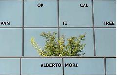 Al Calisto di Vailate ''PAN OPTICAL TREE'' di Mori. Il 29 Videoperformance dell’autore
