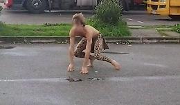 Il mistero di Tarzan all'autogrill di Cremona