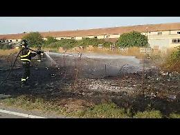 VIDEO  Incendio di sterpaglie nell'area ex Roserpa ad Agoiolo