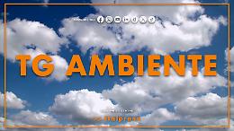 Tg Ambiente - 12/10/2025