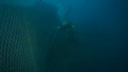 Dal mare all’energia, Green Plasma trasforma le reti fantasma in risorsa