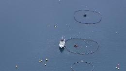 Pesca, stop ai tagli: nel 2026 niente riduzione delle giornate in mare