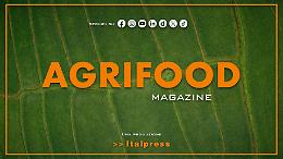 Agrifood Magazine - 17/12/2025