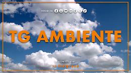 Tg Ambiente - 1/2/2026