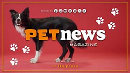 PetNews Magazine - 2/2/2026