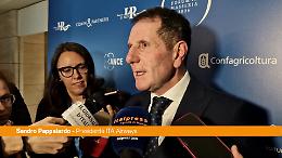 ITA, Pappalardo "Sostenibilit&agrave; e network intercontinentale pilastri strategia"