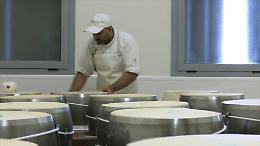 Cia lancia nuovo bando Bandiera Verde. Nel 2025 Premio Gold a Societ&agrave; Dall&rsquo;Aglio