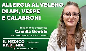 Imenotteri, allergia al veleno: quando il rischio &egrave; reale