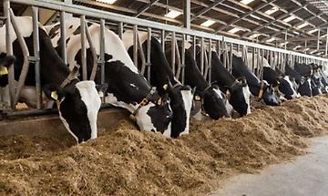 &laquo;Quella delibera un&rsquo;invasione di campo&raquo;