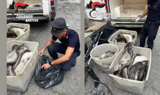 Blitz notturno: tre quintali e mezzo di pescato illegale finiscono sotto sequestro