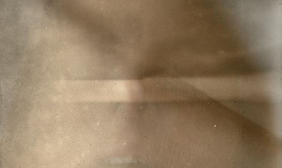 Inaugurazione di “MYTH - Amphíbios” personale di Laura Zigatti