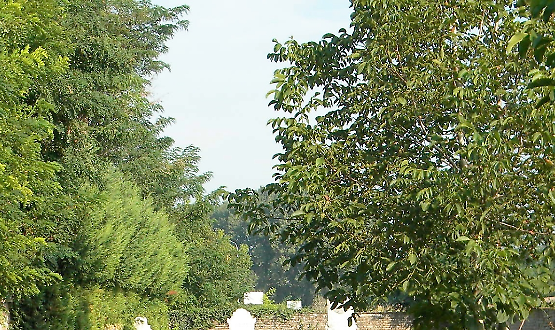 Giorno della Memoria 2026: riflessione e commemorazione