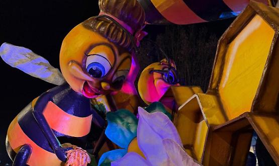 Le luci del Carnevale illuminano la notte