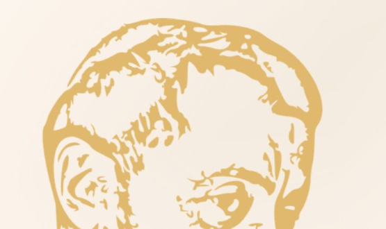 Sulle ali del racconto: il transito di Francesco, fra testi e immagini