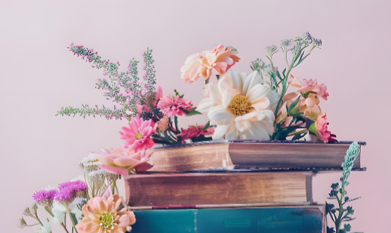 Fiera Primaverile del libro 2026