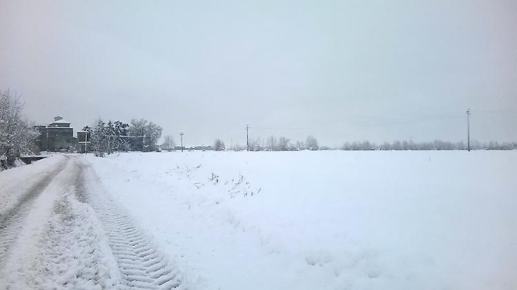 nevicata corte de cortesi cignone