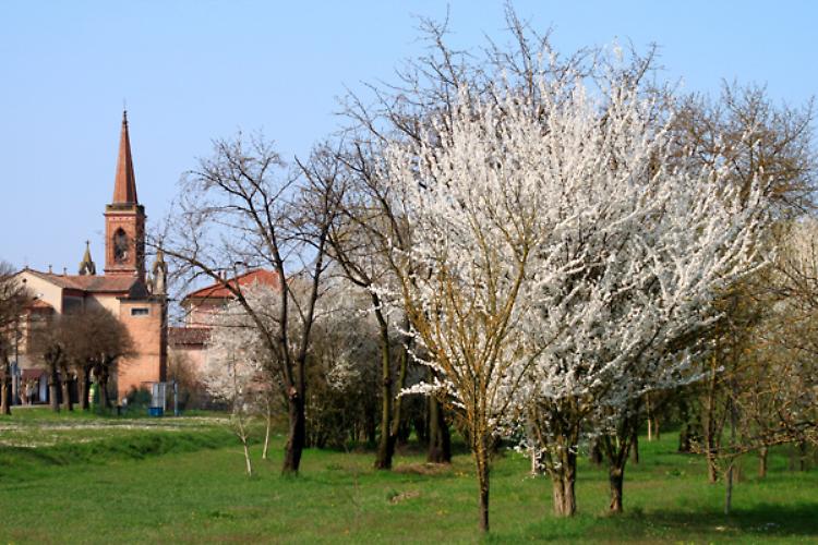 La strada panoramica dei ciliegi
