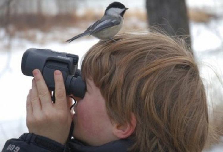 Birdwatching