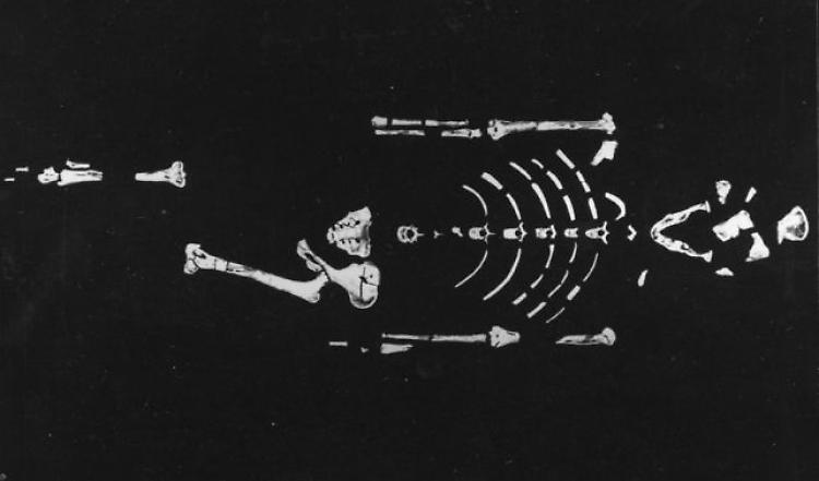 Al Collegio Volta si parla di 'Lucy'