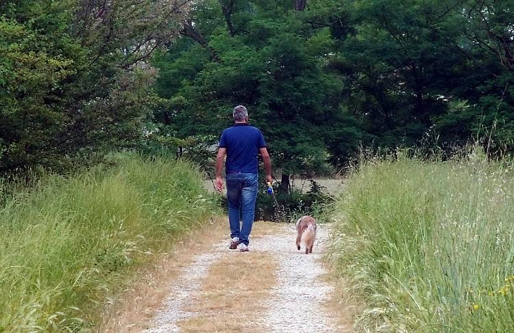 Un uomo a passeggio col cane