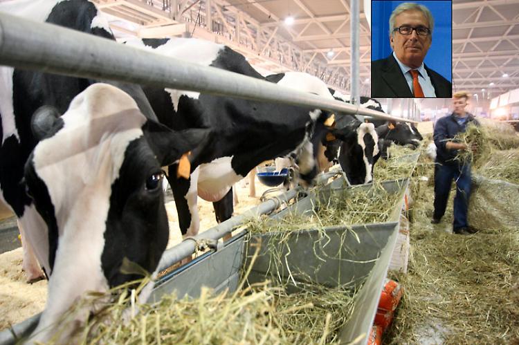 Latte, accordo con Galbani
Prezzo fissato a 44,5 centesimi