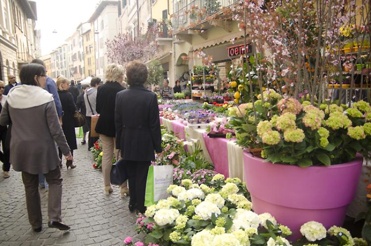Brixia Florum