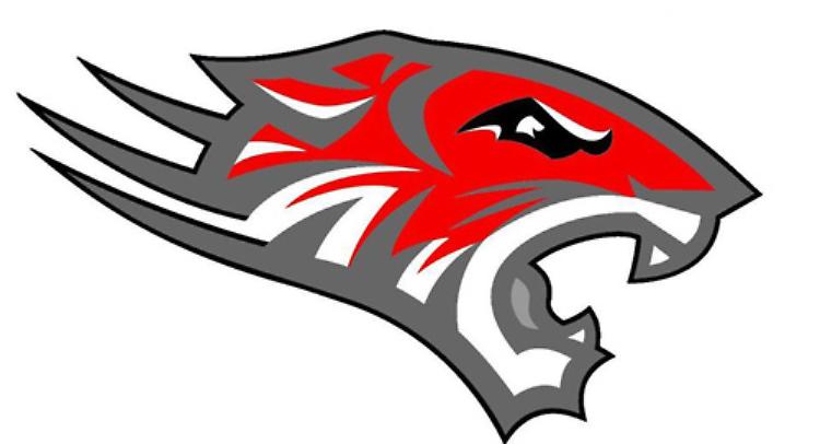 Assegnato il campo Livrini per gli allenamenti dei Tigers Cremona