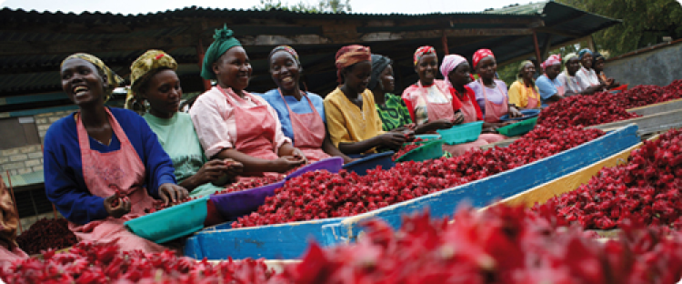 Cremona - “Giovedì Senza frontiere in compagnia di Nonsolonoi”