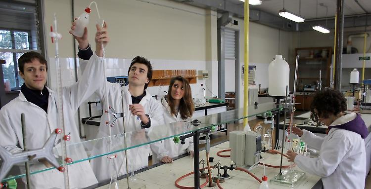 Il mondo è green al Torriani