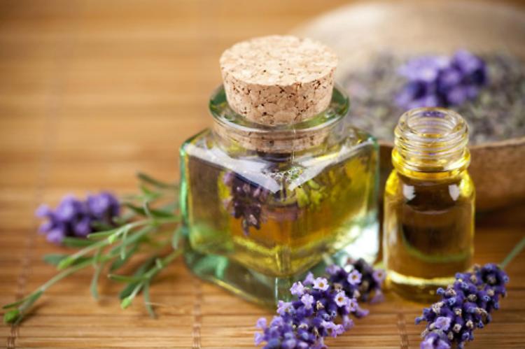 Piante aromatiche ed oli essenziali Incontro a SpazioComune
