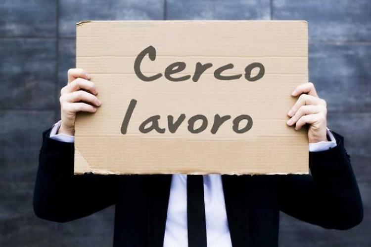 Lavoro e concorsi, tutte le opportunità a Cremona e provincia