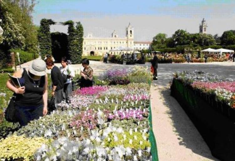 Nel segno del Giglio alla reggia di Colorno, 24-26 aprile