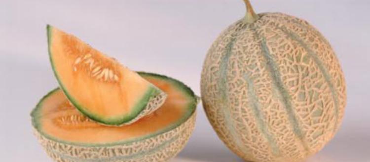 Melone, show cooking con gli chef domenica 12 luglio
