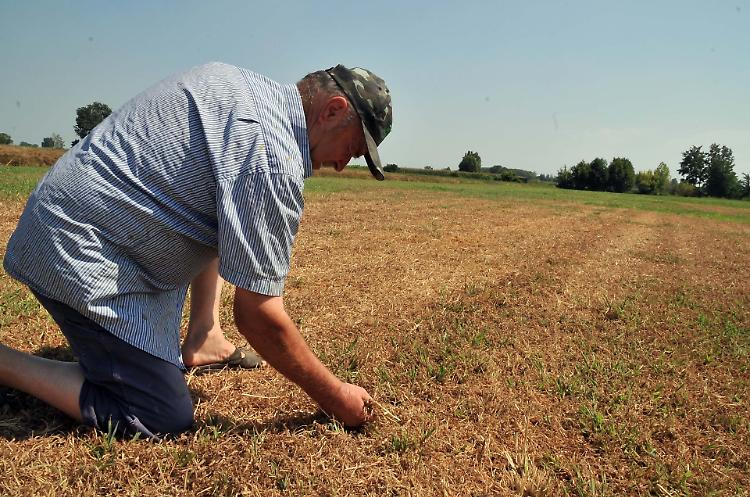 Siccità, Confagricoltura: «Soddisfazione per la linea assunta dal governo»