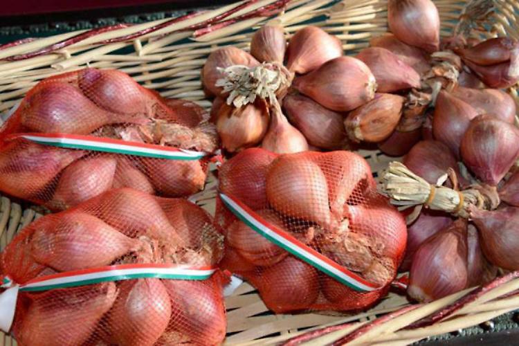 Sagra dello scalogno, dal 3 al 6 settembre