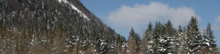 Rifugio Lagdei: 7 e 8 novembre Escursioni dedicate alla foresta