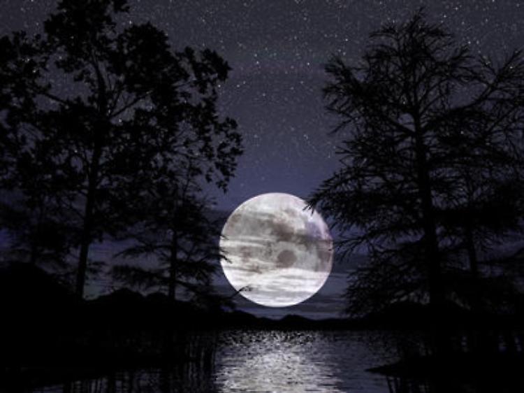 Notte di luna nera e di stelle cadenti al Rifugio Lagdei